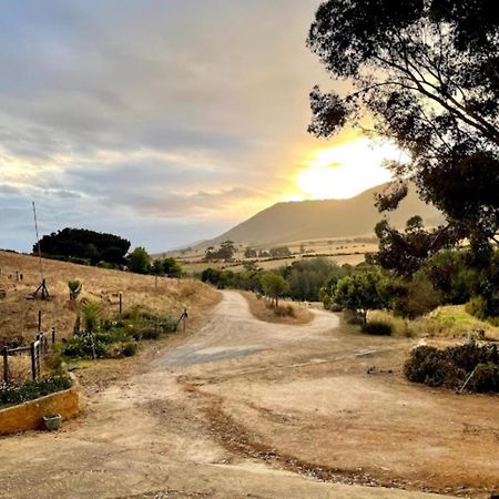Villa Swaynekloof Farm Botrivier Esterno foto