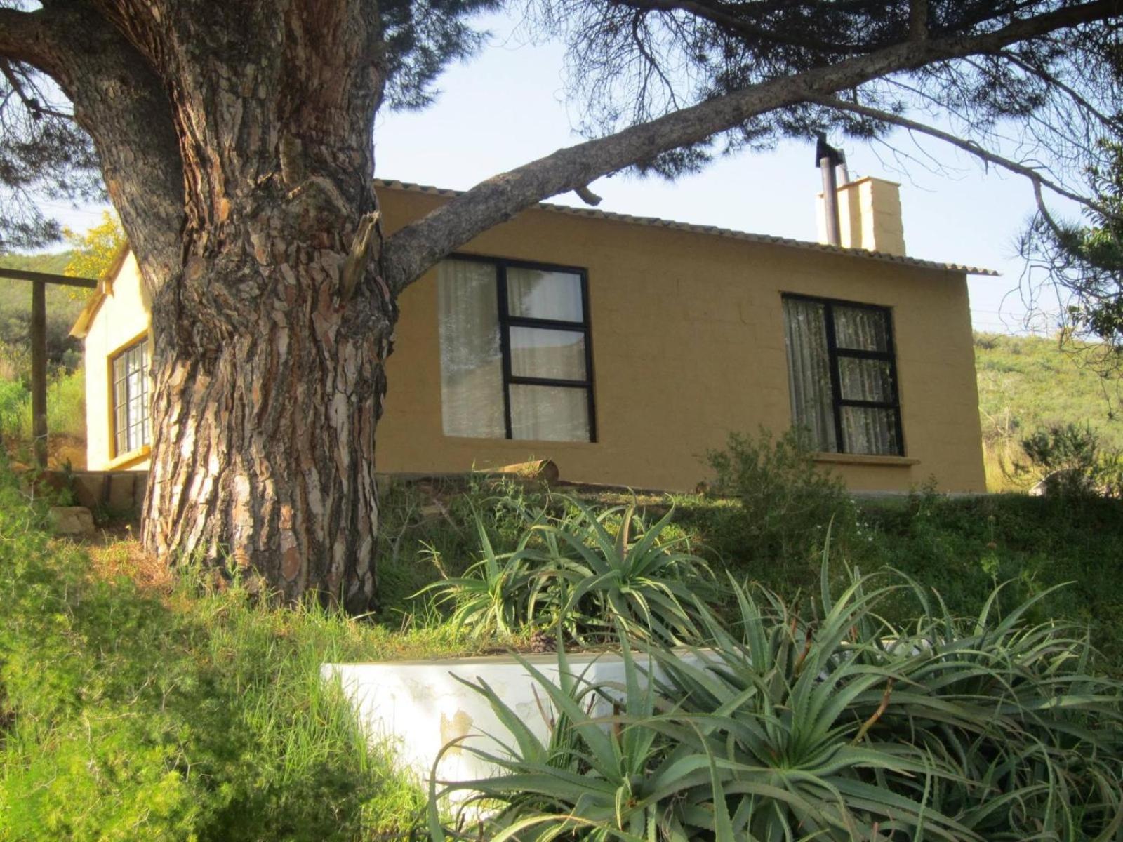 Villa Swaynekloof Farm Botrivier Camera foto