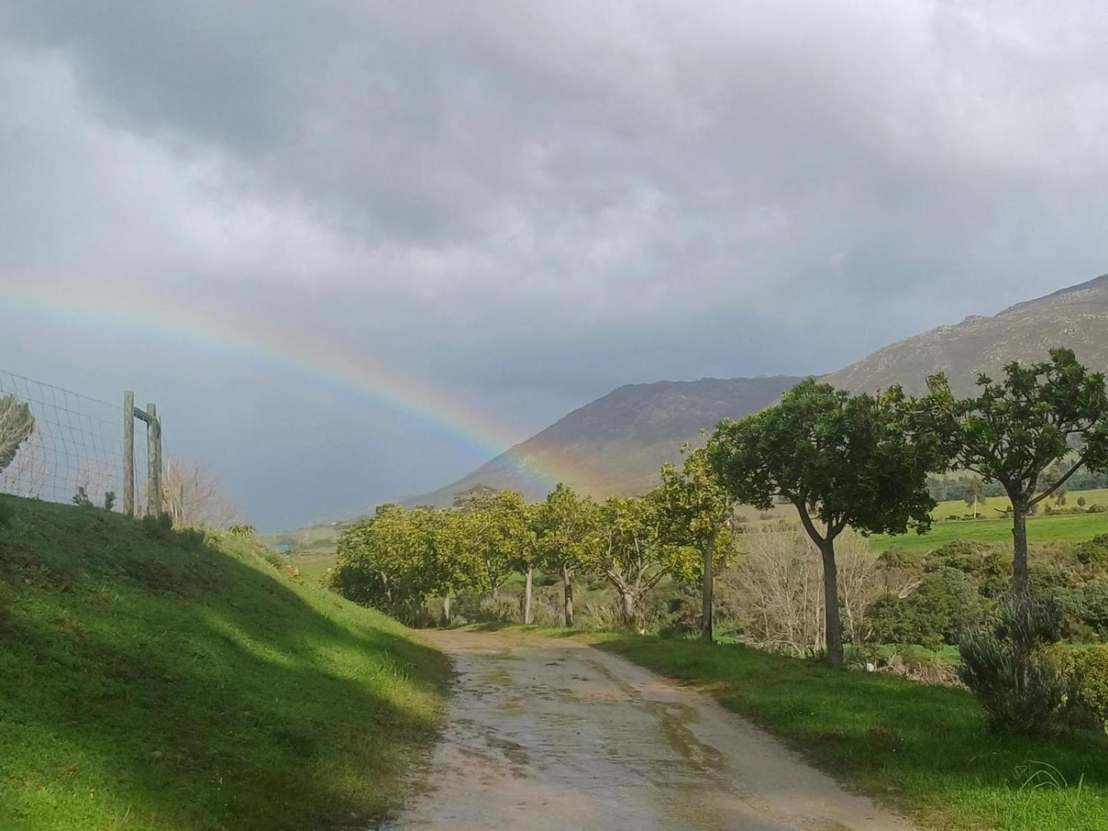 Villa Swaynekloof Farm Botrivier Esterno foto