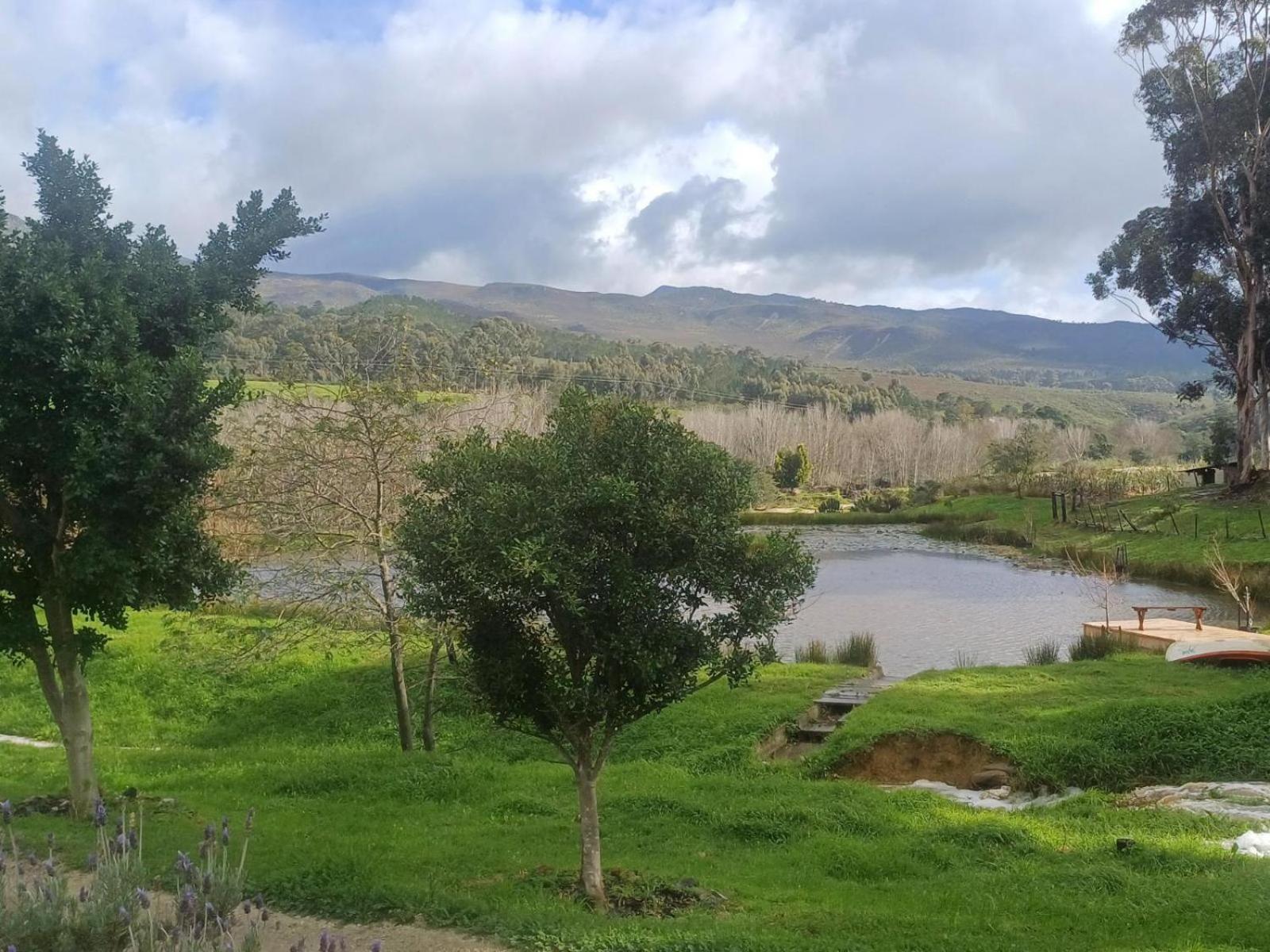 Villa Swaynekloof Farm Botrivier Esterno foto