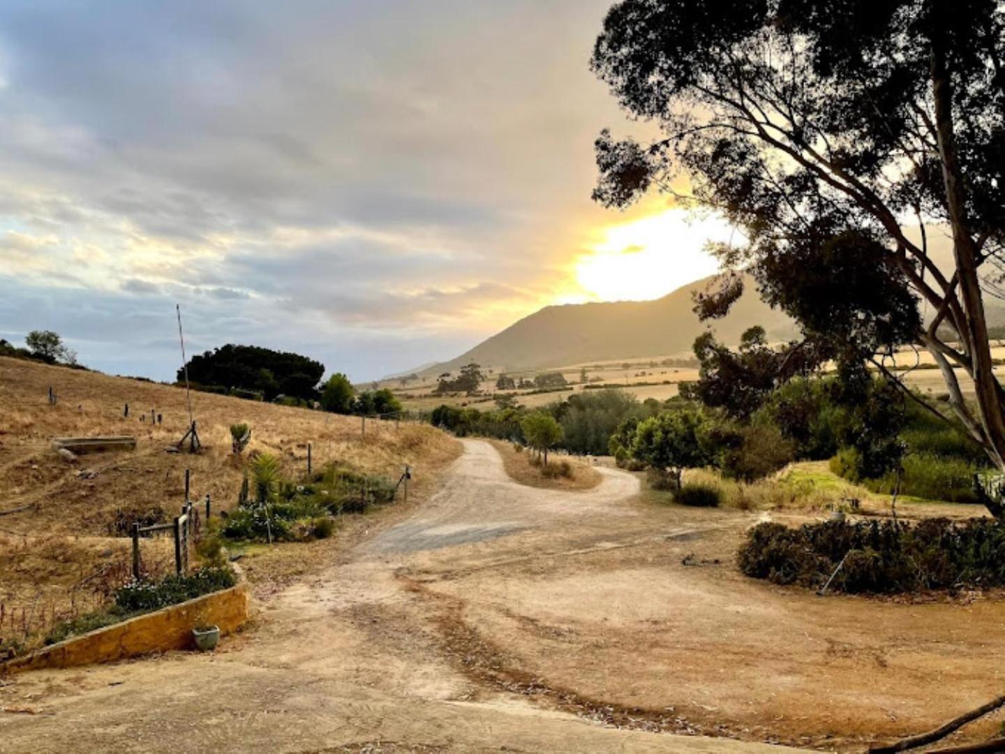 Villa Swaynekloof Farm Botrivier Esterno foto